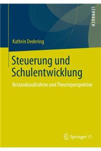 Steuerung und Schulentwicklung