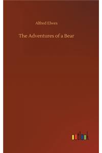 Adventures of a Bear
