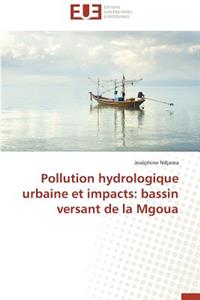 Pollution Hydrologique Urbaine Et Impacts