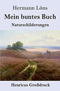 Mein buntes Buch (Großdruck)