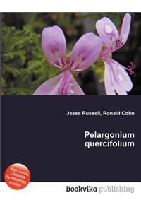 Pelargonium Quercifolium