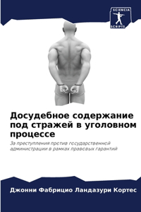 Досудебное содержание под стражей в угоl