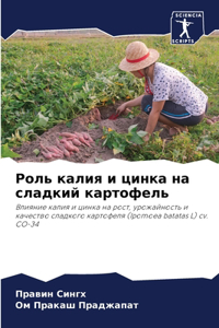 Роль калия и цинка на сладкий картофель