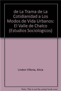 de La Trama de La Cotidianidad a Los Modos de Vida Urbanos: El Valle de Chalco