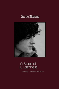 State of Wilderness