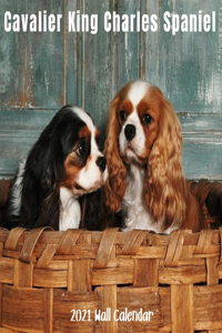 Cavalier King Charles Spaniel 2021 Wall Calendar