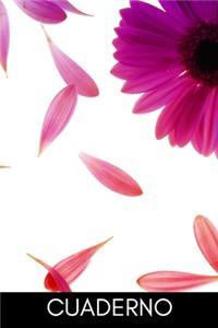 Cuaderno
