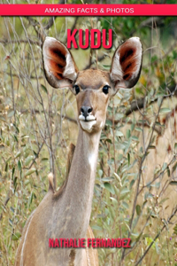 kudu