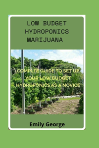 Low Budget Hydroponics Marijuana