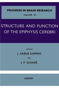 Structure and Function of the Epiphysis Cerebri