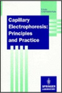 Capillary Electrophoresis: Principles and Practice