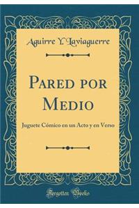 Pared por Medio: Juguete Cómico en un Acto y en Verso (Classic Reprint)