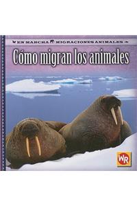 Cómo Migran Los Animales (How Animals Migrate)