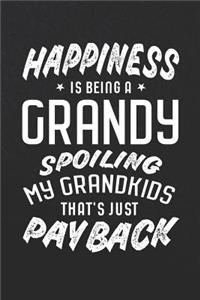 Happiness Is Being A Grandy Spoiling My Grandkids That's Just Payback