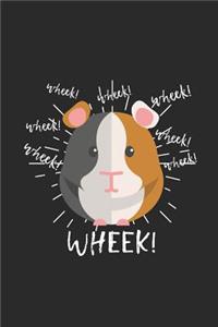 Wheek Guinea Pig