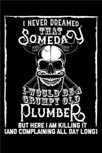 I Never Dreamed That Someday I Would Be a Grumpy Old Plumber But here I m killing it (And complaining all day long)