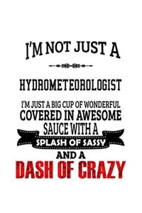 I'm Not Just A Hydrometeorologist I'm Just A Big Cup Of Wonderful