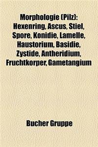 Morphologie (Pilz)