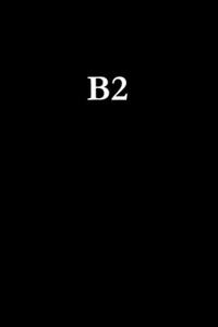 B2 The Old Art and New Science of the Business Network