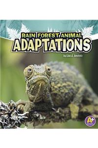 Amazing Animal Adaptations Rain Forest Animal Adaptations