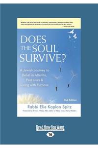 Does the Soul Survive?