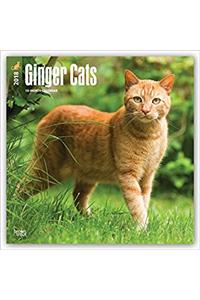 Ginger Cats 2018 Wall Calendar