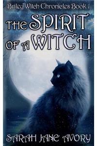 The Spirit Of A Witch