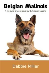 Belgian Malinois