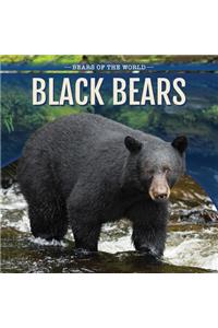 Black Bears