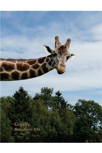 Giraffe - Notizbuch XXL
