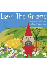Liam The Gnome