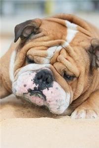 English Bulldog Winter Notebook & Journal. Productivity Work Planner & Idea Notepad