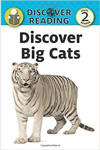 Discover Big Cats