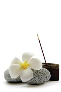 Zen 44