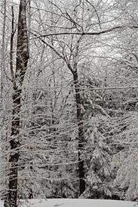 Winter Picture Pretty Journal