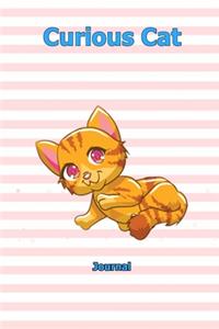 Curious Cat