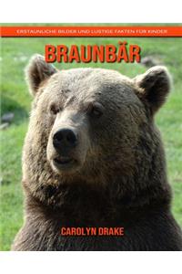 Braunbär
