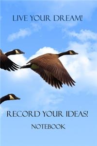 Live your Dreams! Record your Ideas!