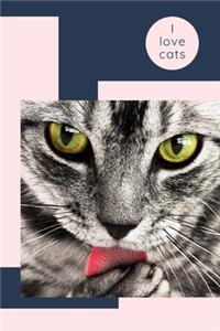 I love cats: Beautifull Cute College Notebook, Journal, Diary, great gift, perfect for writting notes, workbook for girls, kids, students, teens. I love cats (10