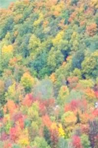 2019 Daily Planner Fall Foliage Mountain View 384 Pages