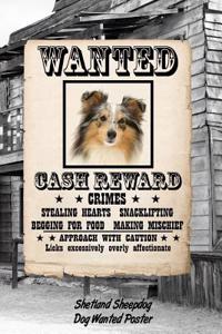 Shetland Sheepdog Dog Wanted Poster