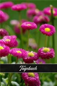 Tagebuch