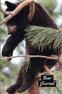 Bear Journal
