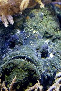 An Ugly Stone Fish Journal