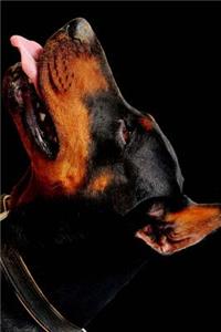 Side Profile of a Doberman Pinscher Journal