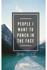 People I Want To Punch In The Face (Notebook)