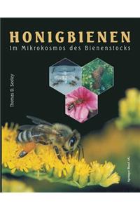 Honigbienen