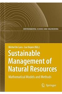 Information Technologies in Environmental Engineering