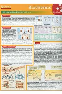 Biochemie Im Berblick