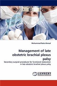 Management of Late Obstetric Brachial Plexus Palsy